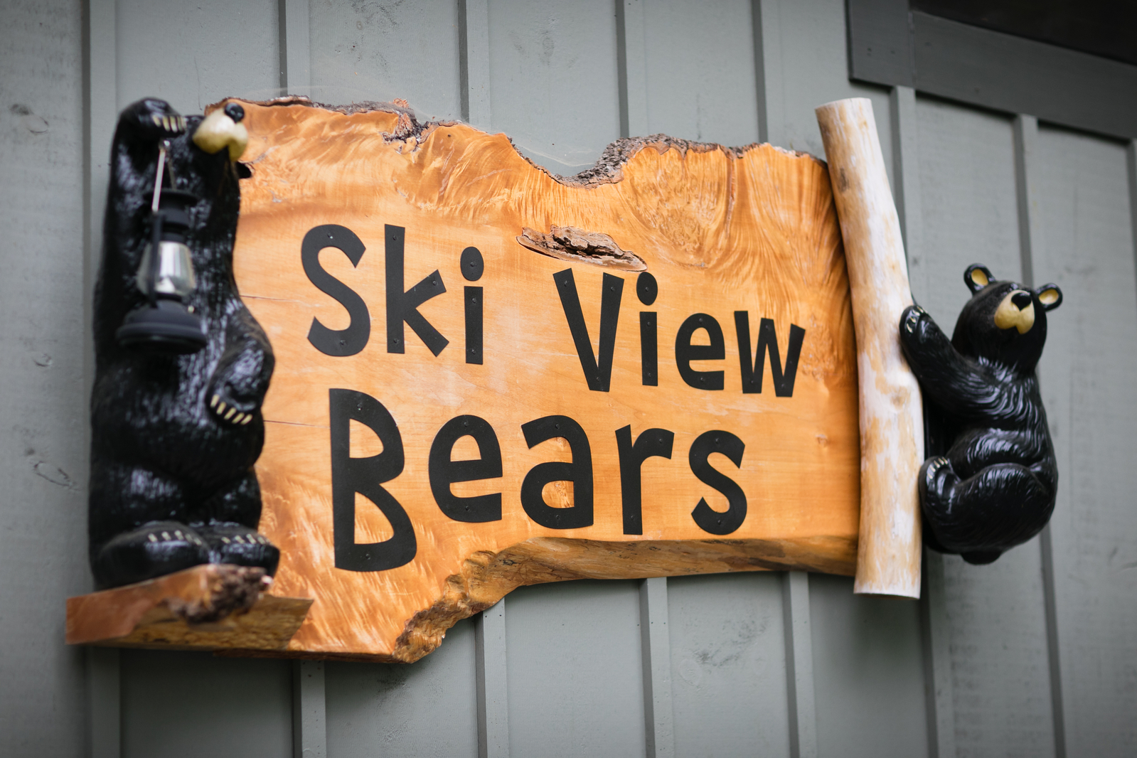 Ski View Bears