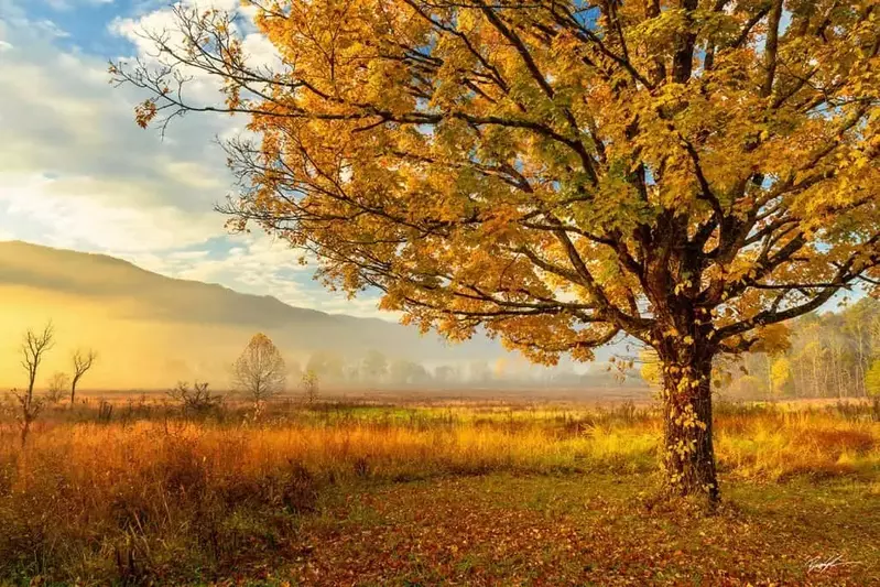 Cades Cove during the fall months