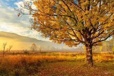 Cades Cove during the fall months